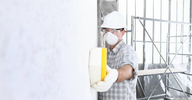 Redgranite, WI Mold Removal Services Company