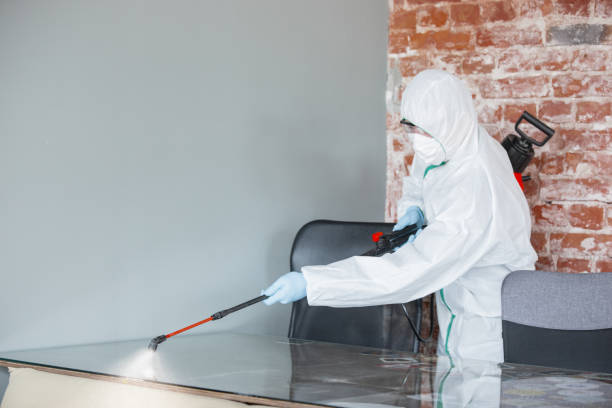 Best Basement Mold Removal  in Redgranite, WI